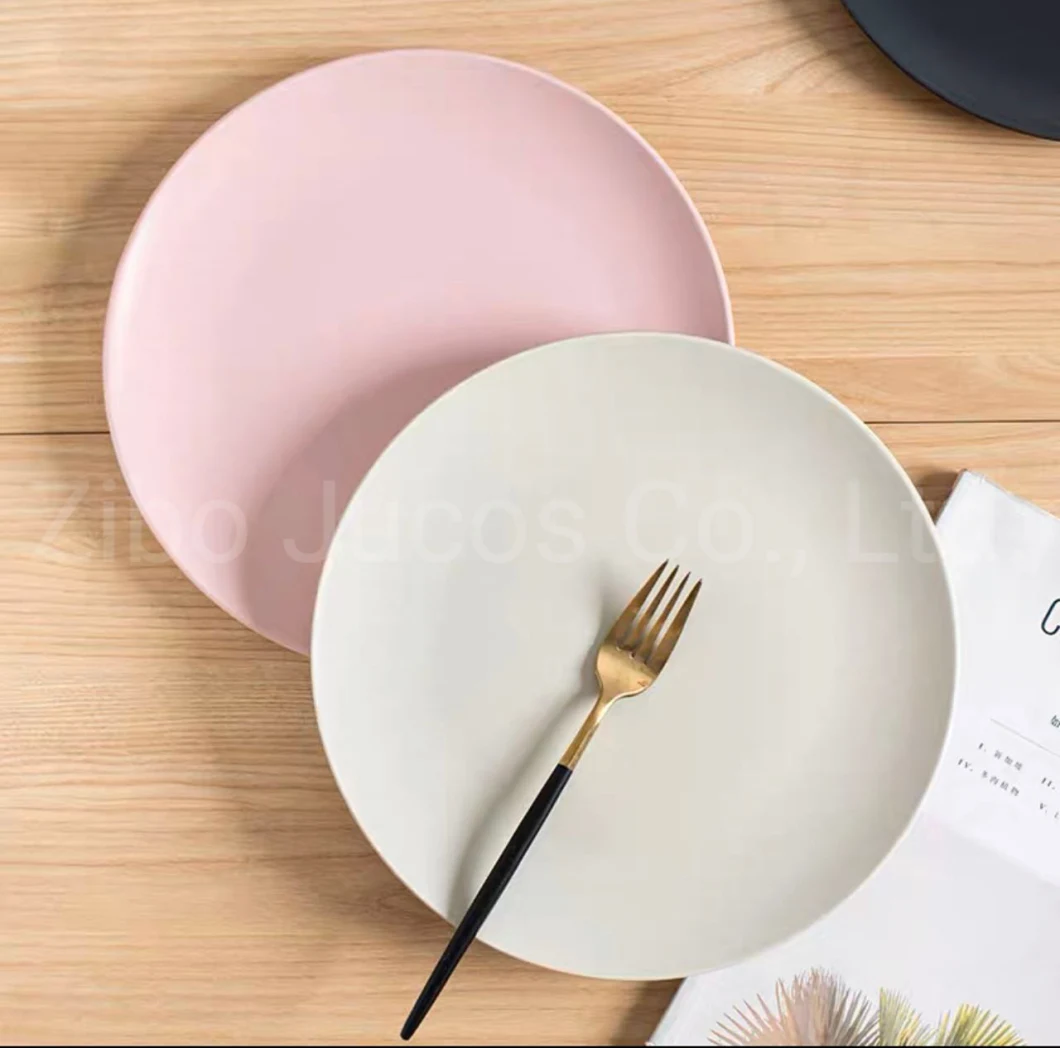 Wholesale Ceramic Dinner Plate Custom Color Design Logo Porcelain Plate for Promotion Gift Souvenirs Hotel Restauant Food Plates 10.0" Big Plate Matte Color